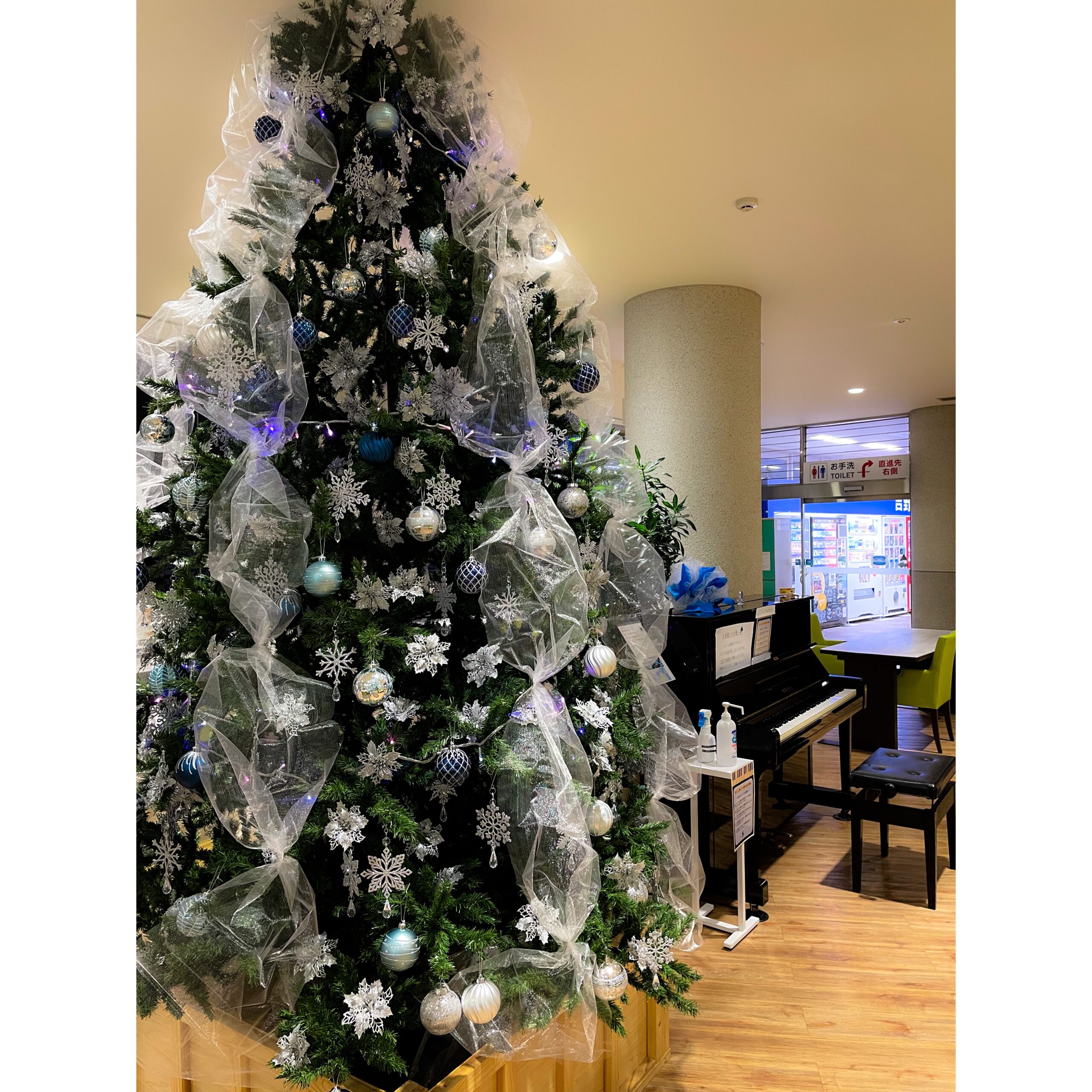 2023年12月｜クリスマスツリー設置のお知らせ - 吉野川ハイウェイオアシス