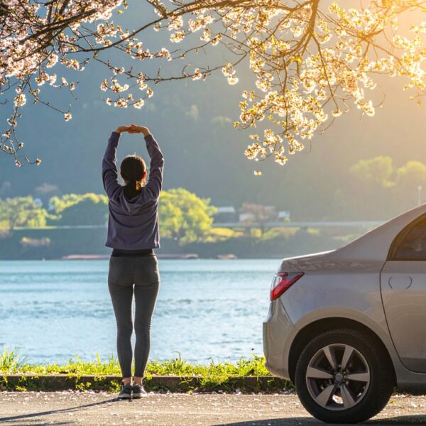 春のドライブで疲れない休憩の取り方｜回復できる止まり方