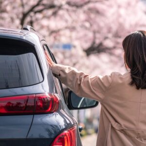 春のドライブ完全ガイド｜疲れない・ストレスを減らす方法