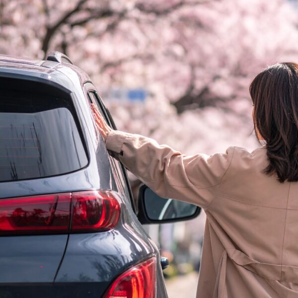 春のドライブ完全ガイド｜疲れない・ストレスを減らす方法